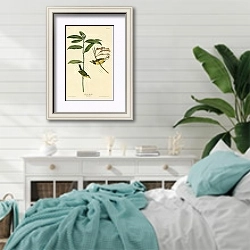 «Hooded Warbler» в интерьере спальни в стиле прованс с голубыми деталями