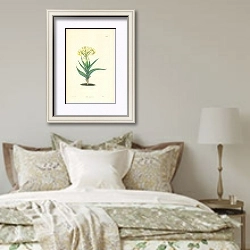 «Iris caucasica» в интерьере спальни в стиле прованс над кроватью