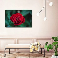 «Ярко красная роза на изумрудном фоне» в интерьере современной прихожей в розовых тонах