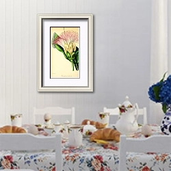«Barringtonia Speciosa» в интерьере столовой в стиле прованс над столом