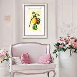 «Королевский абрикос» в интерьере гостиной в стиле прованс над диваном