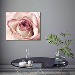 «Бело-розовая роза макро №2» в интерьере современной гостиной в серых тонах