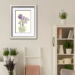 «Purple Pentstemon. Pentstemon lyallii» в интерьере комнаты в стиле прованс с цветами лаванды