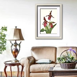 «Розовая туфлея» в интерьере гостиной в стиле прованс