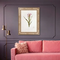 «Gladiolus laccatus» в интерьере гостиной с розовым диваном