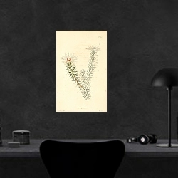 «Staavia Glutinasa 1» в интерьере кабинета в черном цвете