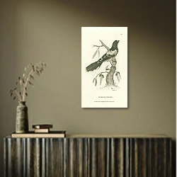 «Leverian Shrike» в интерьере с деревянными деталями