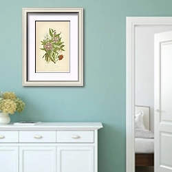 «Common Holly,Privet, Common Ash, Lesser Periwinkle» в интерьере коридора в стиле прованс в пастельных тонах