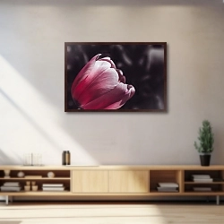 «Фото нежного розового тюльпана крупным планом на темном фоне. Вид сбоку на цветок» в интерьере 