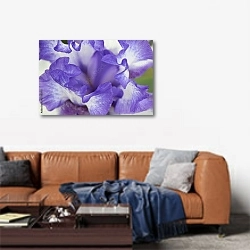 «Цветок ириса, макро» в интерьере современной гостиной над диваном