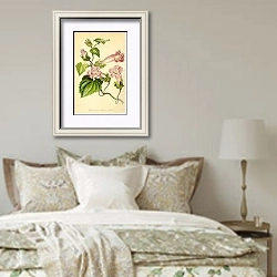 «Lophospermum Erubescens Spectabile» в интерьере спальни в стиле прованс над кроватью