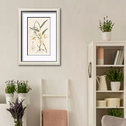 «Rhomb-lipped Dendrobium» в интерьере комнаты в стиле прованс с цветами лаванды