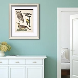 «Птицы Америки Уилсона 19» в интерьере коридора в стиле прованс в пастельных тонах