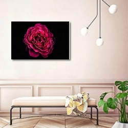 «Пурпурная роза на черном» в интерьере современной прихожей в розовых тонах
