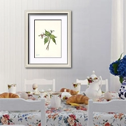 «Painted Trillium. Trillium undulatum» в интерьере столовой в стиле прованс над столом