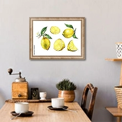 «Набор с целыми и резаными свежий лимонами » в интерьере кухни над обеденным столом с кофемолкой