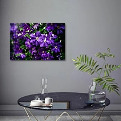 «Красивые фиолетовые клематисы» в интерьере современной гостиной в серых тонах