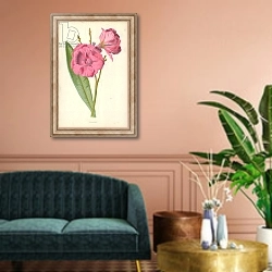 «Oleander» в интерьере классической гостиной над диваном