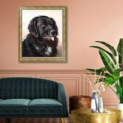 «Ньюфаундленд» в интерьере классической гостиной над диваном