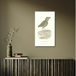 «Long-Legged Crow» в интерьере с деревянными деталями