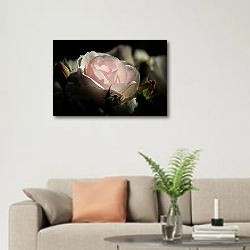 «Бледно-розовая роза в каплях росы» в интерьере современной светлой гостиной над диваном