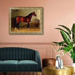 «Чамант от Мортимера-Араукария» в интерьере классической гостиной над диваном