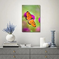«Яркая оранжевая бабочка на розовом цветке » в интерьере современной гостиной с голубыми деталями