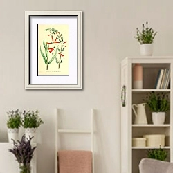 «Chelone cheilanthifolium» в интерьере комнаты в стиле прованс с цветами лаванды