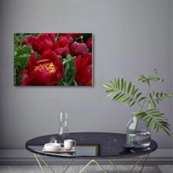 «Красные пионы, цветущие в саду» в интерьере современной гостиной в серых тонах