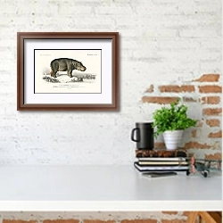 «Бегемот (Hippopotame Amphibie) » в интерьере кабинета с кирпичной стеной