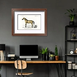 «Лошадь (Equus ferus caballus) » в интерьере кабинета с серыми стенами