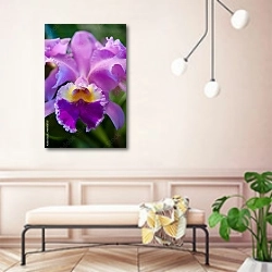 «Орхидея розовая. Макро» в интерьере современной прихожей в розовых тонах