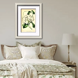 «Stephanotis Floribunda» в интерьере спальни в стиле прованс над кроватью