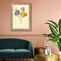 «Crocus» в интерьере классической гостиной над диваном