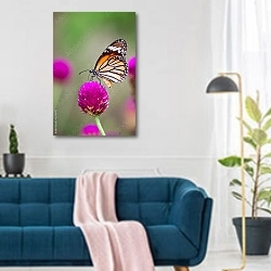 «Бабочка монарх на цветке клевера» в интерьере современной гостиной над синим диваном