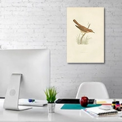 «Marsh Warbler 1» в интерьере офиса в белом цвете