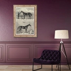 «Racehorse» в интерьере в классическом стиле в фиолетовых тонах