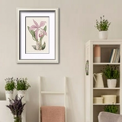 «The May-flower Laelia» в интерьере комнаты в стиле прованс с цветами лаванды
