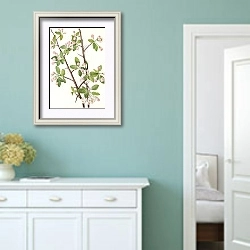 «Дикий сладкий краб.» в интерьере коридора в стиле прованс в пастельных тонах