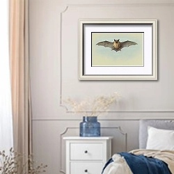 «Study of a common pipistrelle bat» в интерьере спальни в стиле прованс с синими деталями