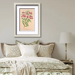 «Clarkia pulchella var. marginata» в интерьере спальни в стиле прованс над кроватью
