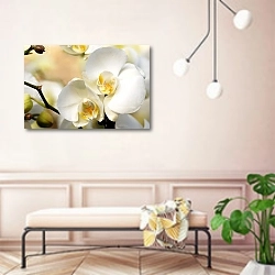 «Орхидеи 6» в интерьере современной прихожей в розовых тонах
