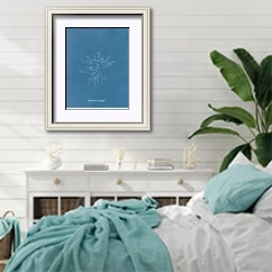 «Polysiphonia subulifera» в интерьере спальни в стиле прованс с голубыми деталями