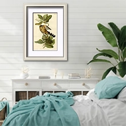 «Mangrove Cuckoo» в интерьере спальни в стиле прованс с голубыми деталями