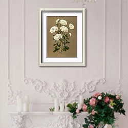 «Ранункулус Геркулес» в интерьере в стиле прованс над камином с лепниной