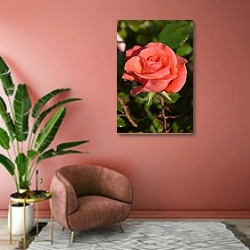 «Нежно-розовая роза в каплях росы» в интерьере современной гостиной в розовых тонах