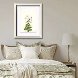 «Northern Anemone. Anemone parviflora» в интерьере спальни в стиле прованс над кроватью