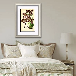 «Houletia Brocklehurstiana» в интерьере спальни в стиле прованс над кроватью