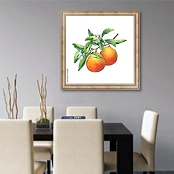 «Два свежих апельсина на ветке» в интерьере современной кухни над столом