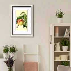 «Персик Мальта» в интерьере комнаты в стиле прованс с цветами лаванды